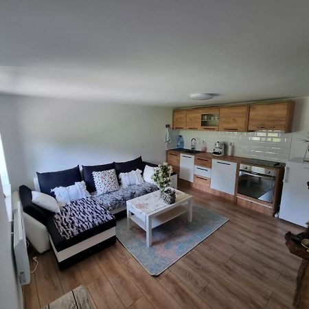 Casa Primitoare In Inima Naturii Si Padurii Rasca  외부 사진