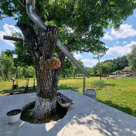 Casa Primitoare In Inima Naturii Si Padurii Rasca  외부 사진