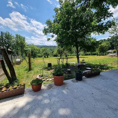 Casa Primitoare In Inima Naturii Si Padurii Rasca  외부 사진