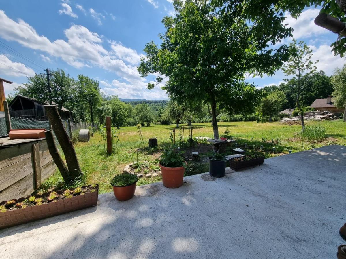 Casa Primitoare In Inima Naturii Si Padurii Rasca  외부 사진