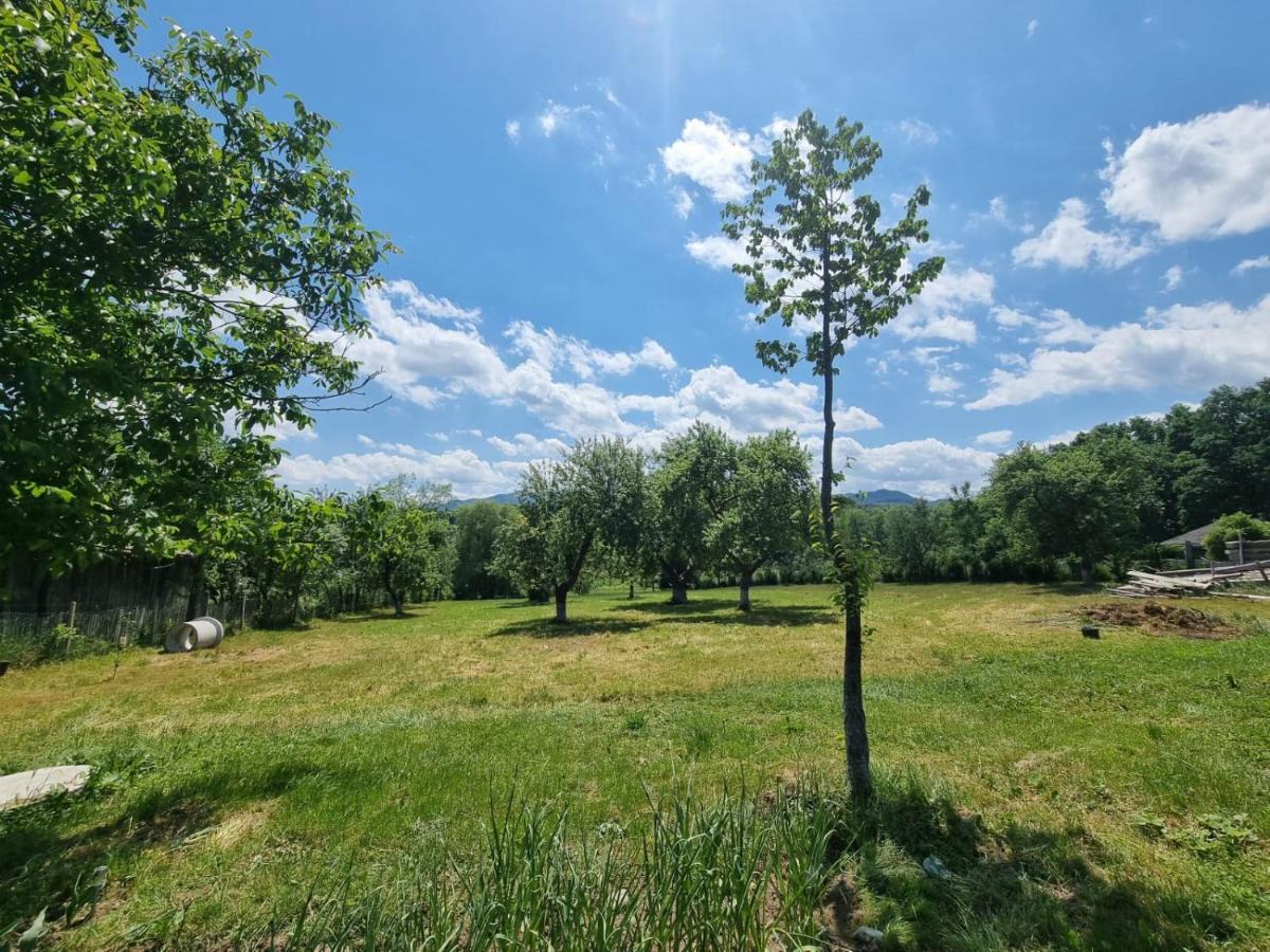 Casa Primitoare In Inima Naturii Si Padurii Rasca  외부 사진